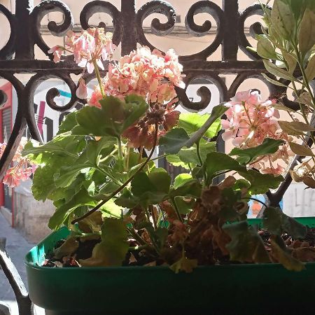Apartamento Lavapies Al Lado Del Rastro Madrid Eksteriør billede