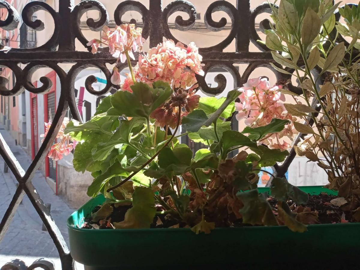 Apartamento Lavapies Al Lado Del Rastro Madrid Eksteriør billede